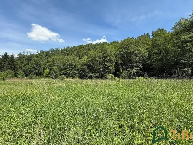 Prodej louky, Bílovice nad Svitavou, 3200 m2