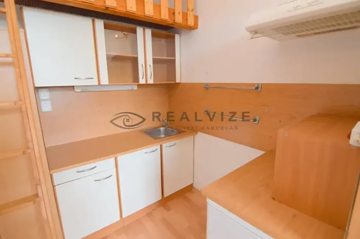 Pronájem bytu 1+kk, České Budějovice, Šumavská, 21 m2