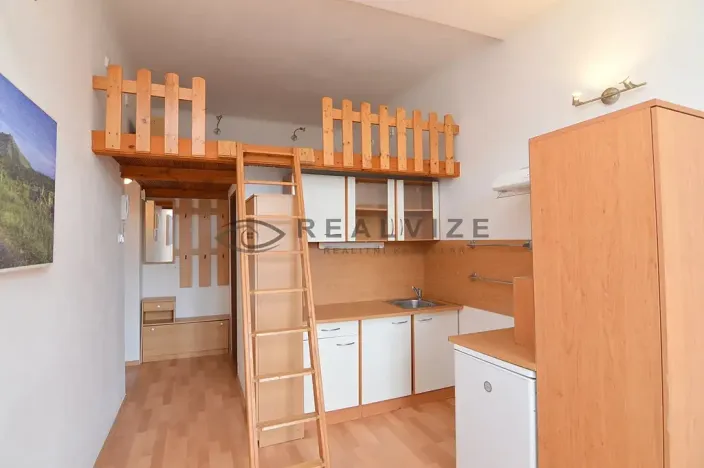 Pronájem bytu 1+kk, České Budějovice, Šumavská, 21 m2