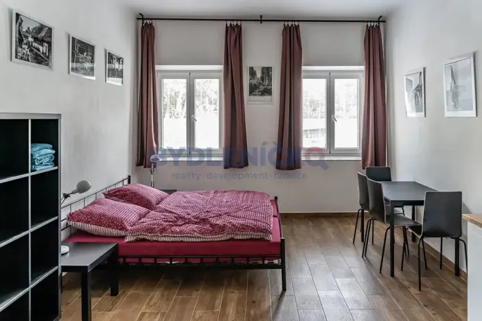 Pronájem bytu 1+kk, České Budějovice, Nová, 30 m2