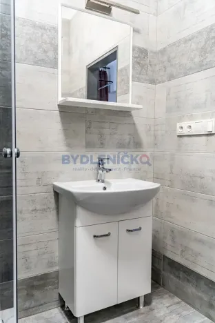 Pronájem bytu 1+kk, České Budějovice, Nová, 30 m2
