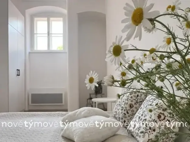 Pronájem bytu 2+kk, Pardubice, Zámecká, 40 m2