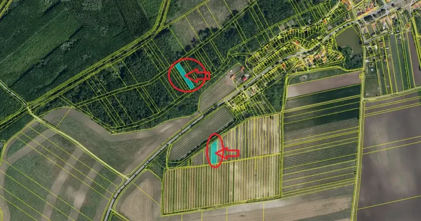 Prodej podílu sadu/vinice, Brod nad Dyjí, 2061 m2