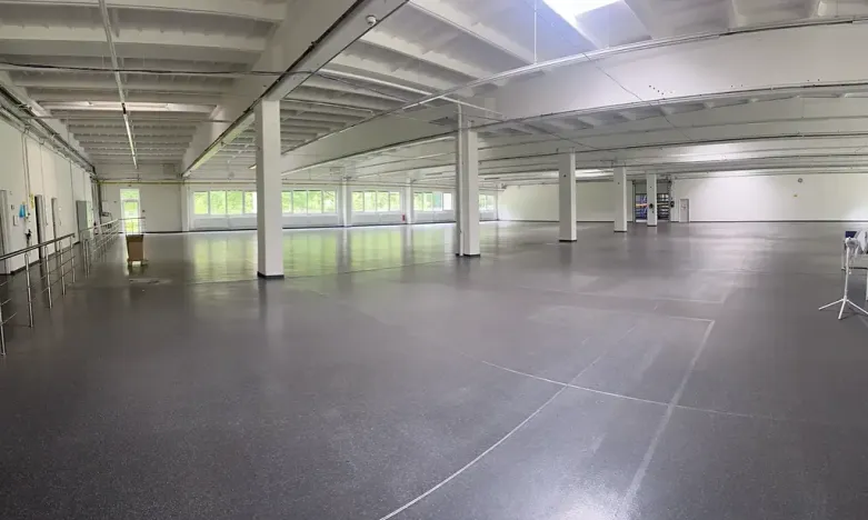 Pronájem výrobních prostor, Chodová Planá, Kyjovská, 2497 m2