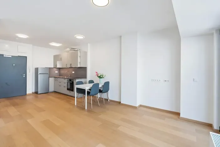 Prodej bytu 1+kk, Praha - Holešovice, Tusarova, 41 m2