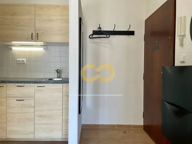 Pronájem bytu 2+1, Praha - Žižkov, Přemyslovská, 42 m2