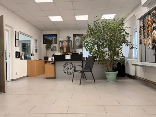 Prodej obchodního prostoru, Děčín, Krásnostudenecká, 420 m2