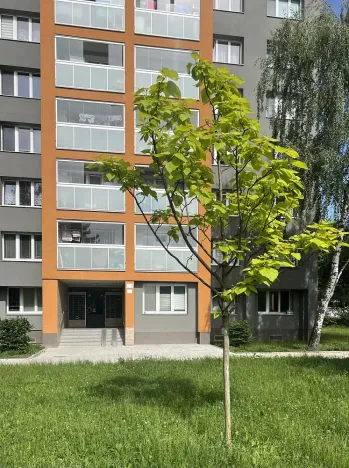 Pronájem bytu 1+kk, Karviná, tř. 17. listopadu, 32 m2
