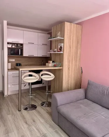 Pronájem bytu 1+kk, Karviná, tř. 17. listopadu, 32 m2