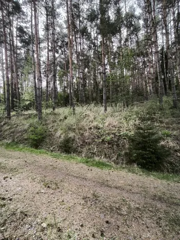 Prodej lesa, Úštěk, 9179 m2