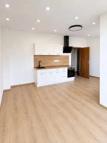 Pronájem bytu 1+kk, Praha - Motol, Podhorská, 27 m2