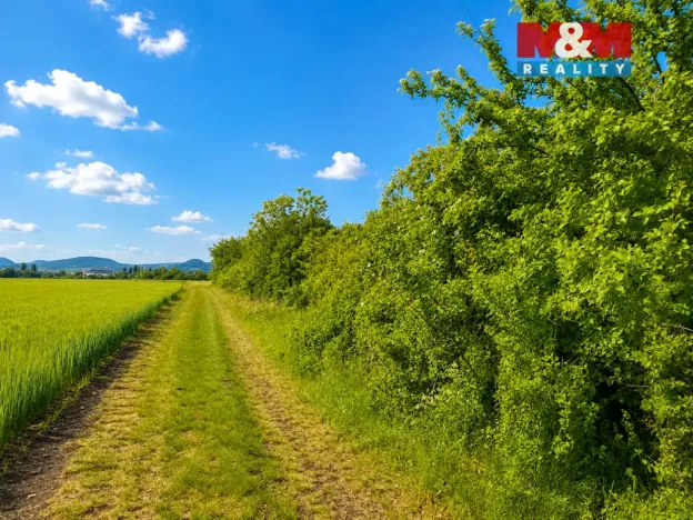 Prodej zahrady, Třebenice, 1690 m2
