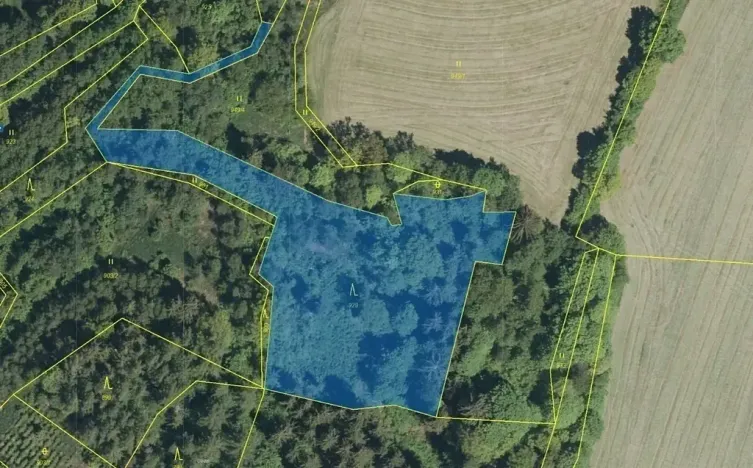 Dražba lesa, Zálezly, 5736 m2