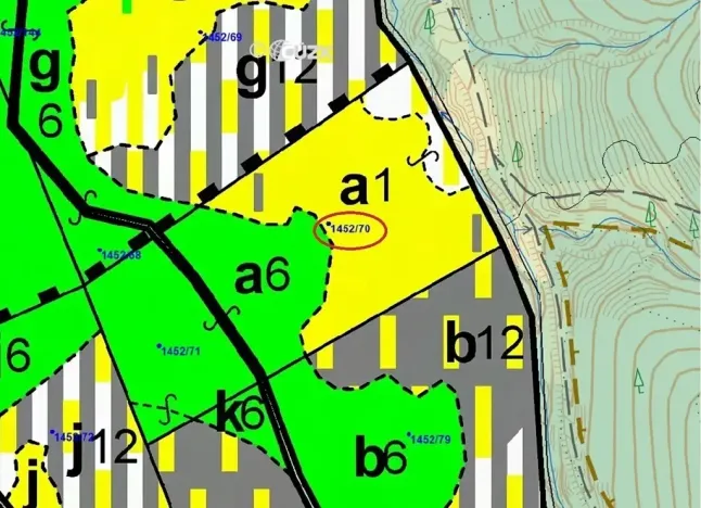 Dražba lesa, Horní Lomná, 17892 m2