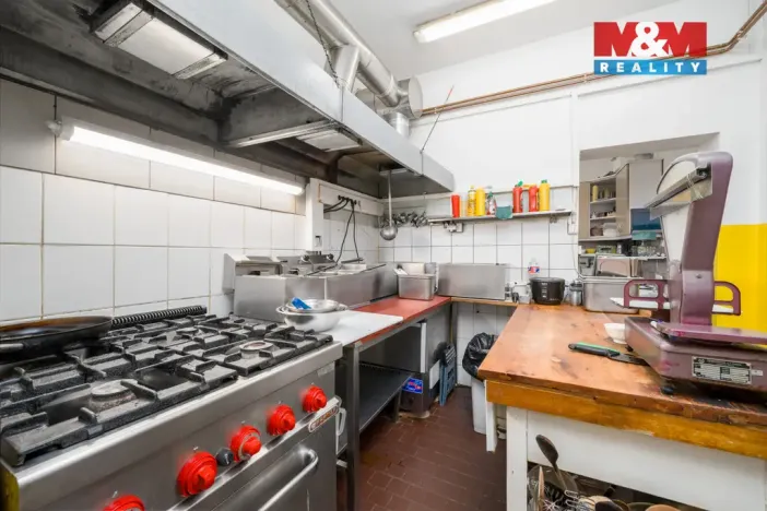 Prodej ubytování, Dubí - Cínovec, 660 m2