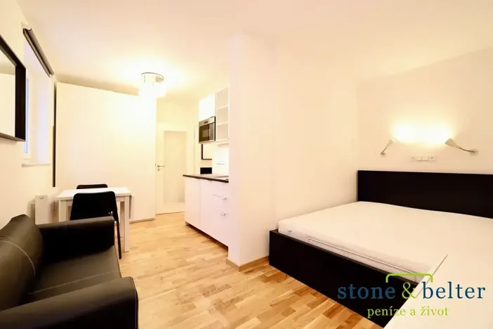 Pronájem bytu 1+kk, Praha - Vysočany, U Lidového domu, 22 m2