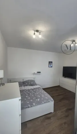 Pronájem bytu 1+kk, České Budějovice, Reinerova, 29 m2