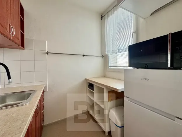 Pronájem bytu 1+1, Brno, Haškova, 30 m2