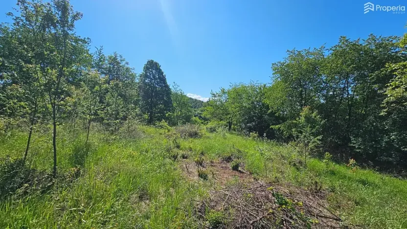 Prodej pozemku pro bydlení, Letovice, 1845 m2