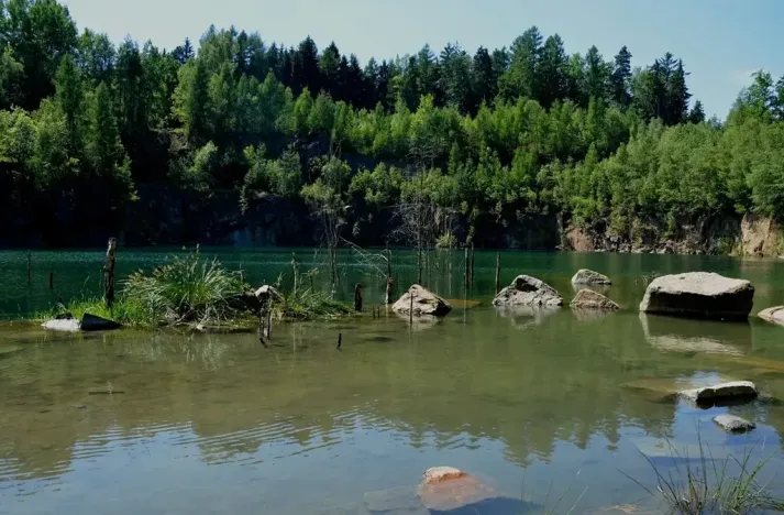 Prodej rybníku, Lipová, 80000 m2