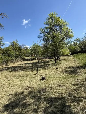 Prodej zahrady, Slavkov u Brna, 539 m2