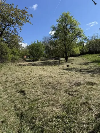 Prodej zahrady, Slavkov u Brna, 539 m2