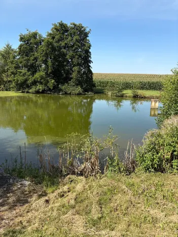 Prodej chalupy, Ratboř, 161 m2