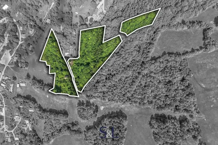 Prodej pozemku pro bydlení, Zlatá Olešnice, 27729 m2
