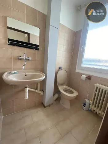 Pronájem bytu 4+1, Veltrusy, Jiráskova, 109 m2