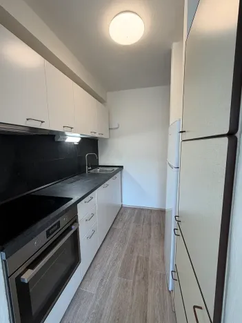 Prodej bytu 3+kk, Praha, Hartigova, 70 m2