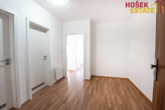 Prodej bytu 2+kk, Brno, Kigginsova, 60 m2