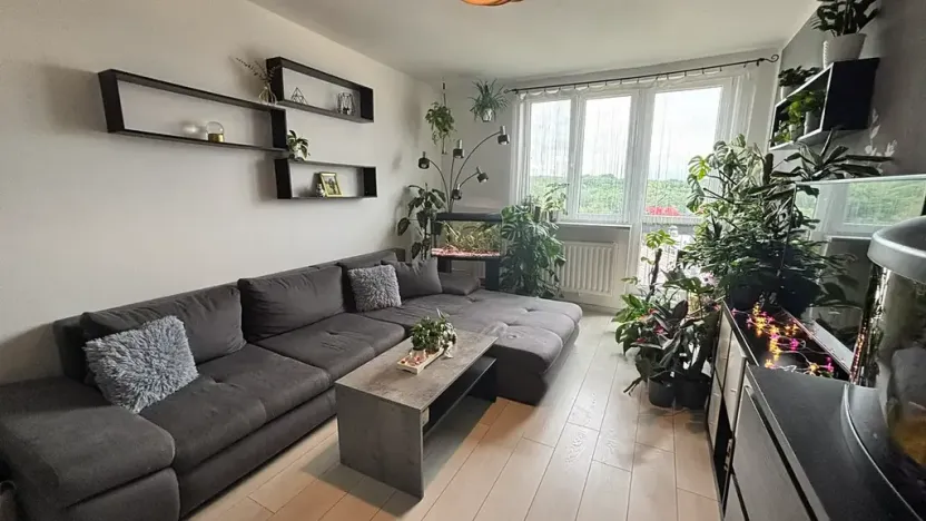 Prodej bytu 4+1, Orlová, Lesní, 78 m2