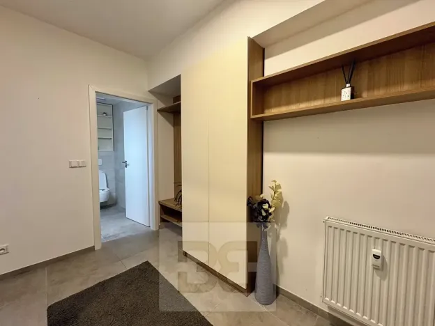 Pronájem bytu 1+kk, Brno, Husovická, 40 m2