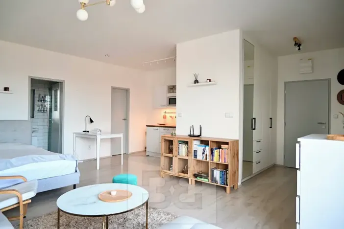 Pronájem bytu 1+kk, Brno, Křenová, 40 m2