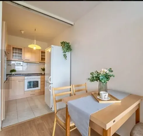 Pronájem bytu 2+kk, Praha - Petrovice, Jakobiho, 43 m2