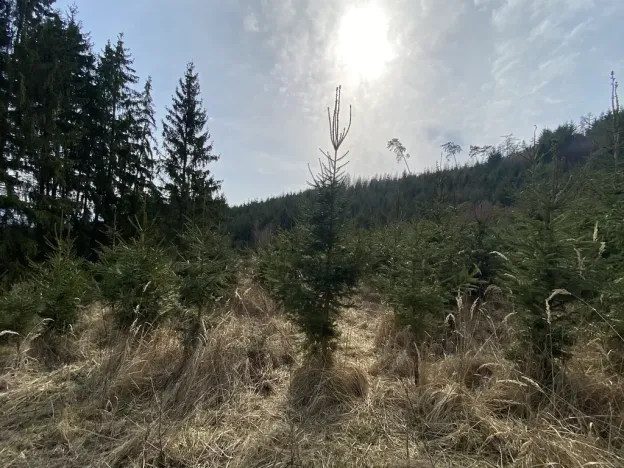 Prodej louky, Městečko Trnávka - Lázy, 1026 m2