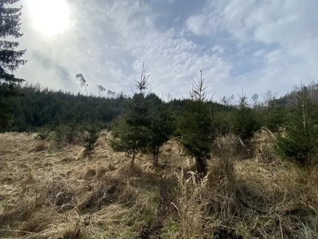 Prodej louky, Městečko Trnávka - Lázy, 1026 m2