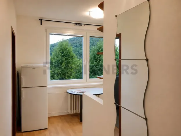 Pronájem bytu 1+1, Brno, Laštůvkova, 30 m2