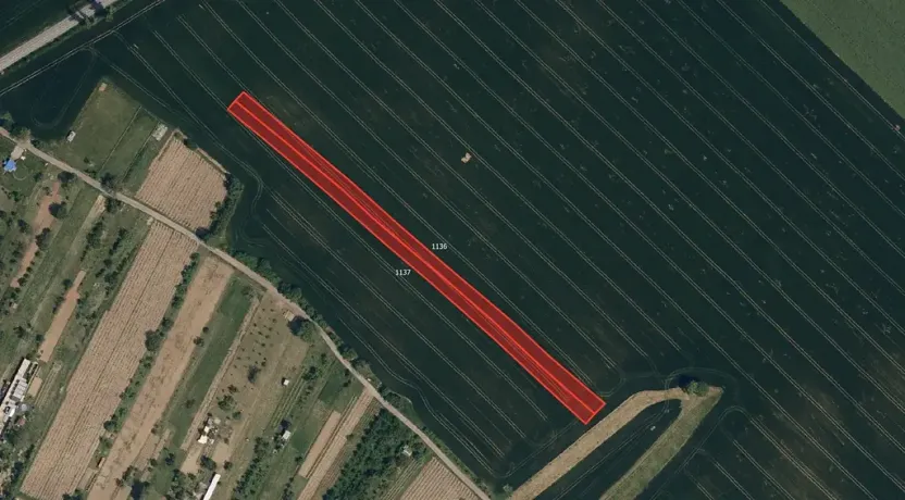 Prodej pole, Boršice, 2636 m2