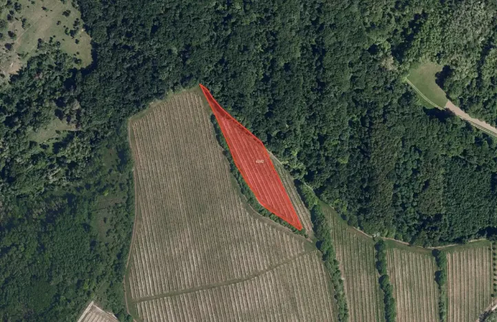 Prodej sadu/vinice, Kobylí, 33801 m2