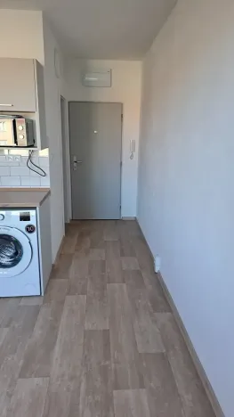 Pronájem bytu 1+1, Písek, Harantova, 37 m2