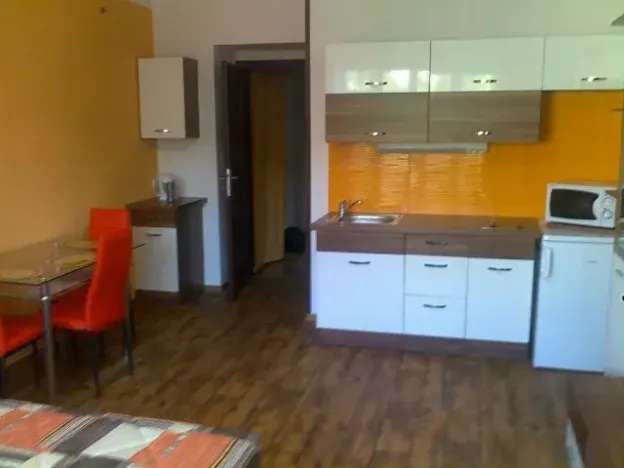 Pronájem bytu 1+kk, Praha - Podolí, Nedvědovo náměstí, 35 m2