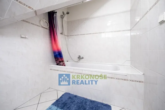 Prodej chaty, Černý Důl, 230 m2