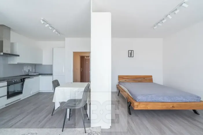 Pronájem bytu 1+kk, Beroun, Na Veselou, 44 m2