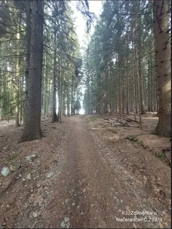 Prodej lesa, Načeradec, 2043 m2