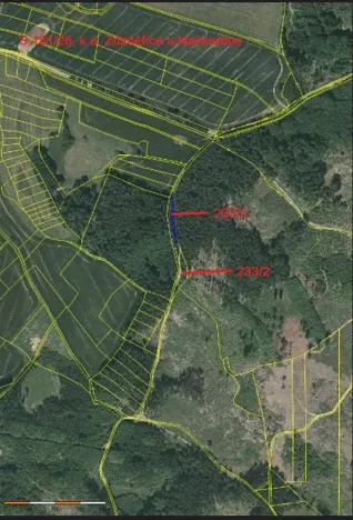 Prodej lesa, Načeradec, 2043 m2
