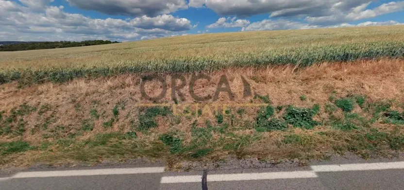 Prodej podílu pole, Moravany, 2556 m2
