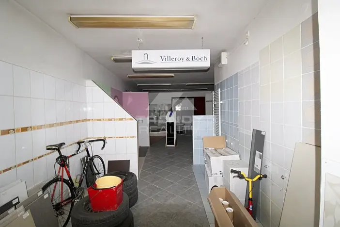 Prodej činžovního domu, Plzeň, Pod Všemi svatými, 450 m2