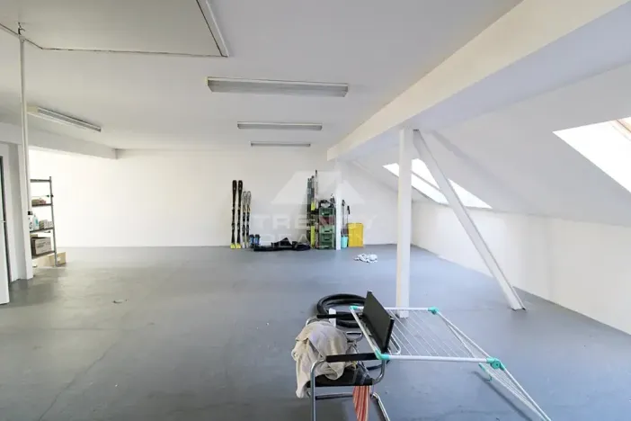 Prodej činžovního domu, Plzeň, Pod Všemi svatými, 450 m2