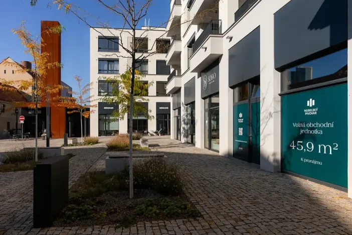 Pronájem obchodního prostoru, Praha - Nusle, Bělehradská, 46 m2